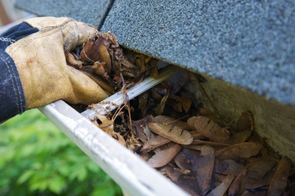 Gutter Cleaning Arlington