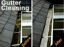 Gutter Cleaning in Southlake